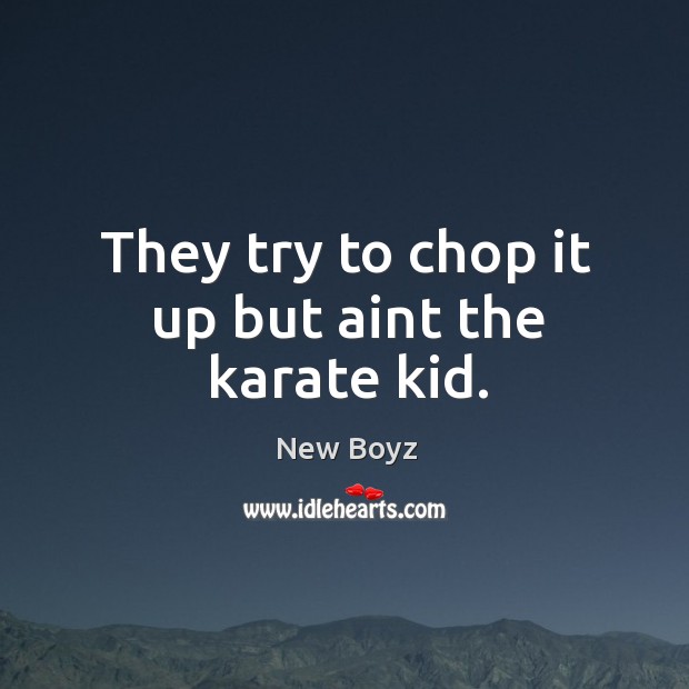 They try to chop it up but aint the karate kid. New Boyz Picture Quote