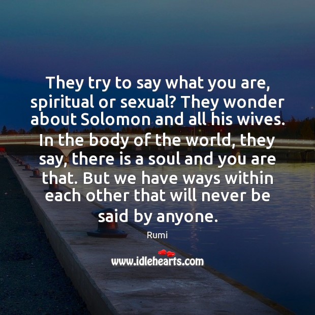 They try to say what you are, spiritual or sexual? They wonder Rumi Picture Quote