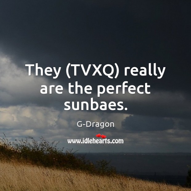 They (TVXQ) really are the perfect sunbaes. G-Dragon Picture Quote