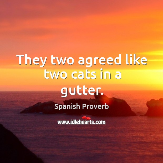 They two agreed like two cats in a gutter. Spanish Proverbs Image