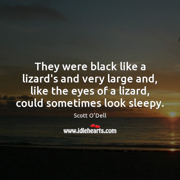 They were black like a lizard’s and very large and, like the Scott O’Dell Picture Quote