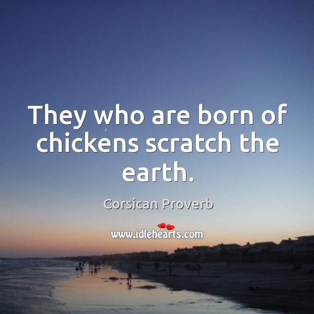 They who are born of chickens scratch the earth. Corsican Proverbs Image