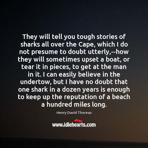 They will tell you tough stories of sharks all over the Cape, Image