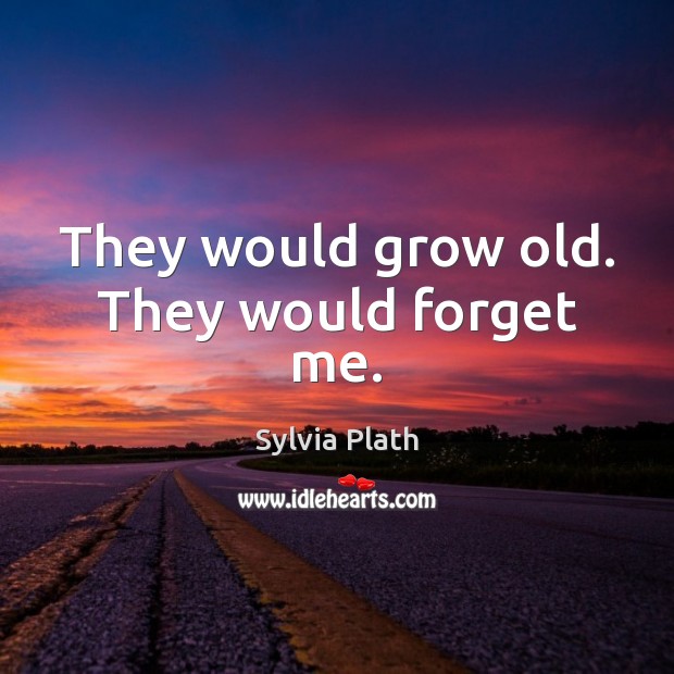 They would grow old. They would forget me. Sylvia Plath Picture Quote