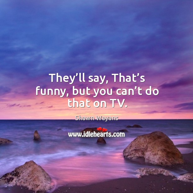 They’ll say, that’s funny, but you can’t do that on tv. Shawn Wayans Picture Quote