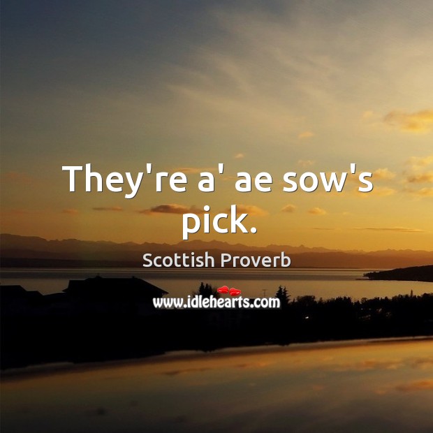 They’re a’ ae sow’s pick. Image
