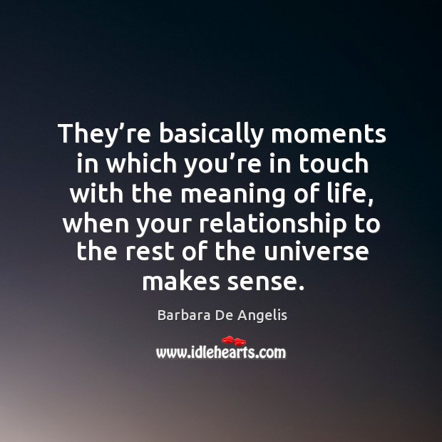 They’re basically moments in which you’re in touch with the meaning of life Barbara De Angelis Picture Quote