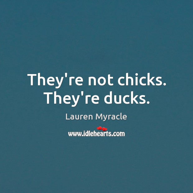 They’re not chicks. They’re ducks. Lauren Myracle Picture Quote
