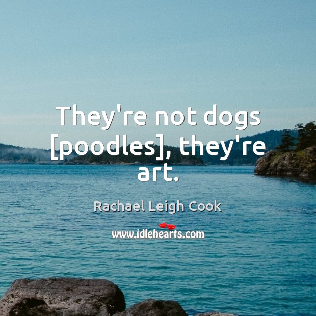 They’re not dogs [poodles], they’re art. Rachael Leigh Cook Picture Quote