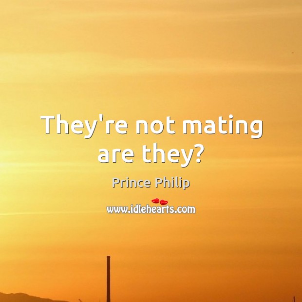 They’re not mating are they? Prince Philip Picture Quote