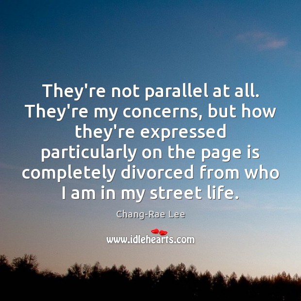 They’re not parallel at all. They’re my concerns, but how they’re expressed Chang-Rae Lee Picture Quote