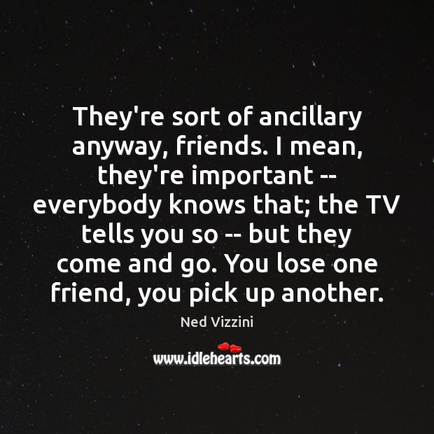 They’re sort of ancillary anyway, friends. I mean, they’re important — everybody Ned Vizzini Picture Quote