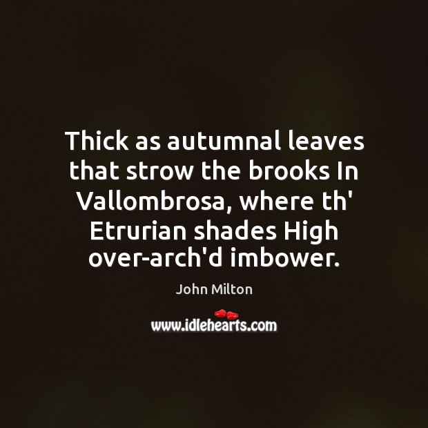 Thick as autumnal leaves that strow the brooks In Vallombrosa, where th’ Image