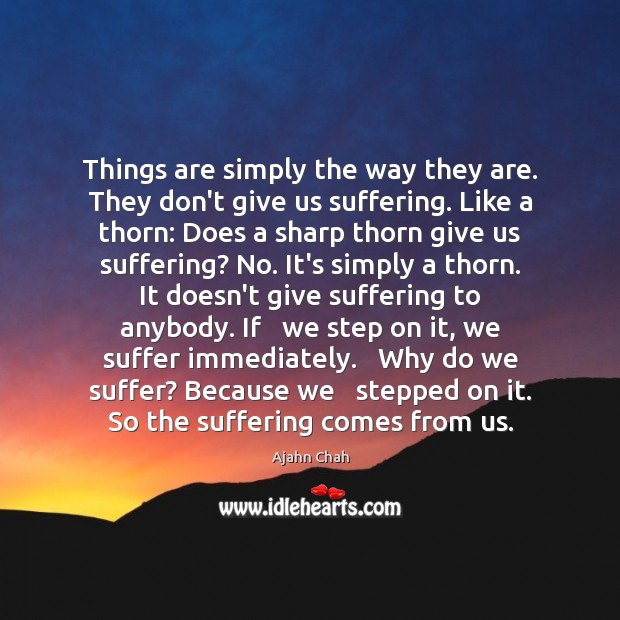 Things are simply the way they are. They don’t give us suffering. Image