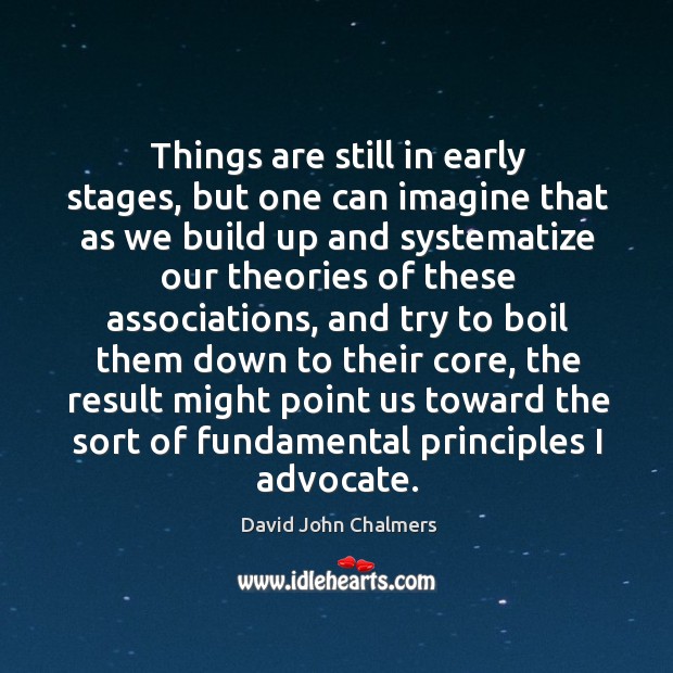 Things are still in early stages, but one can imagine that as we build up and systematize David John Chalmers Picture Quote