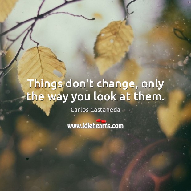 Things don’t change, only the way you look at them. Carlos Castaneda Picture Quote