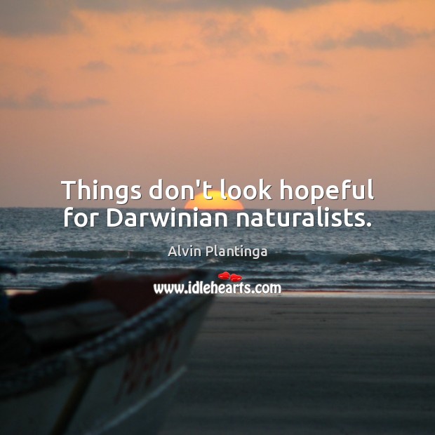 Things don’t look hopeful for Darwinian naturalists. Image