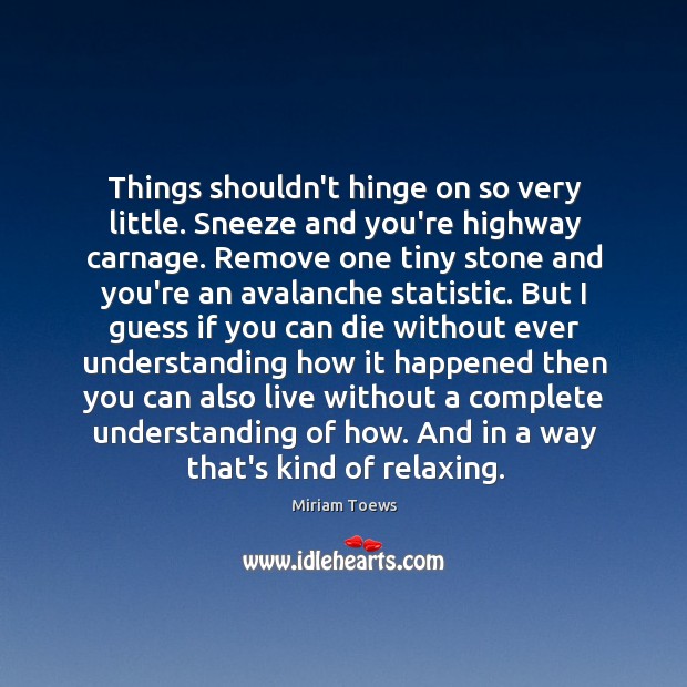 Things shouldn’t hinge on so very little. Sneeze and you’re highway carnage. Miriam Toews Picture Quote