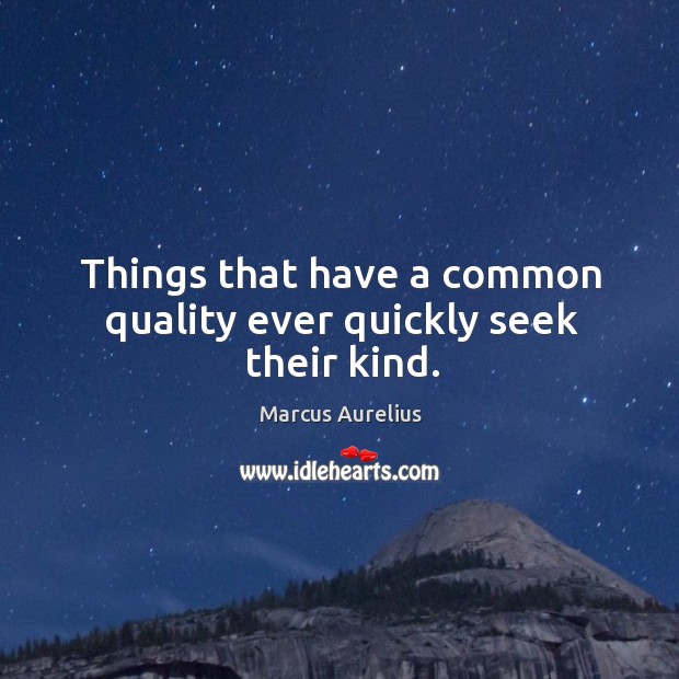 Things that have a common quality ever quickly seek their kind. Image
