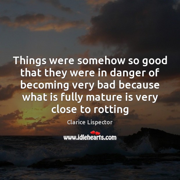 Things were somehow so good that they were in danger of becoming Clarice Lispector Picture Quote
