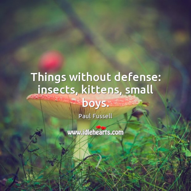 Things without defense: insects, kittens, small boys. Paul Fussell Picture Quote