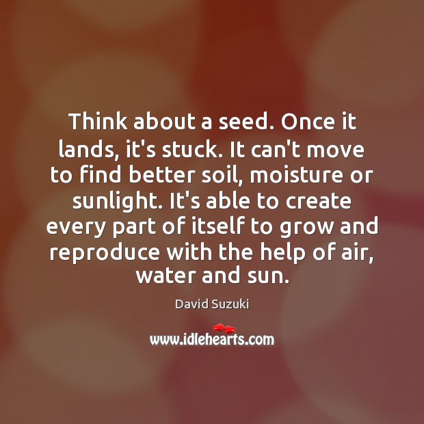 Think about a seed. Once it lands, it’s stuck. It can’t move David Suzuki Picture Quote