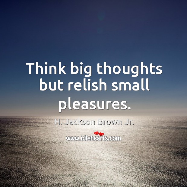 Think big thoughts but relish small pleasures. Image