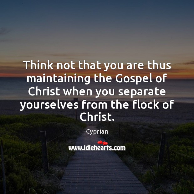 Think not that you are thus maintaining the Gospel of Christ when Cyprian Picture Quote