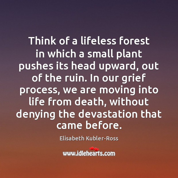 Think of a lifeless forest in which a small plant pushes its Elisabeth Kubler-Ross Picture Quote