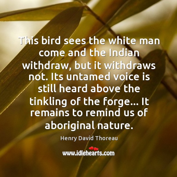 This bird sees the white man come and the Indian withdraw, but 