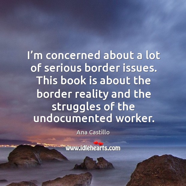This book is about the border reality and the struggles of the undocumented worker. Image