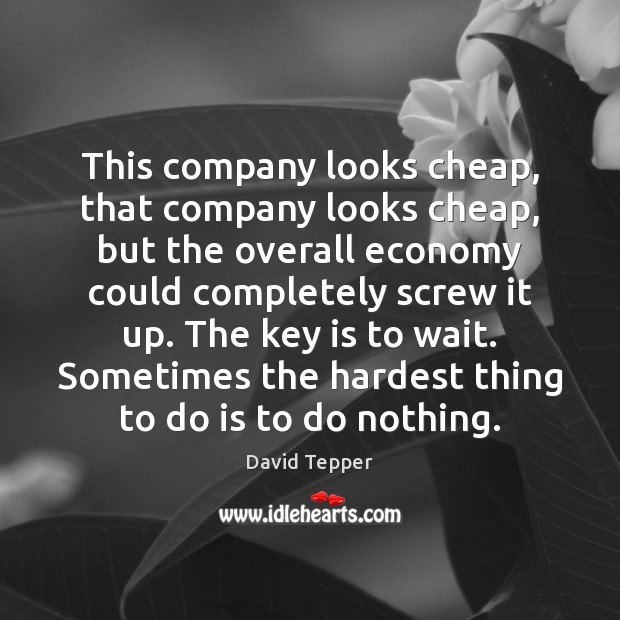 This company looks cheap, that company looks cheap, but the overall economy David Tepper Picture Quote
