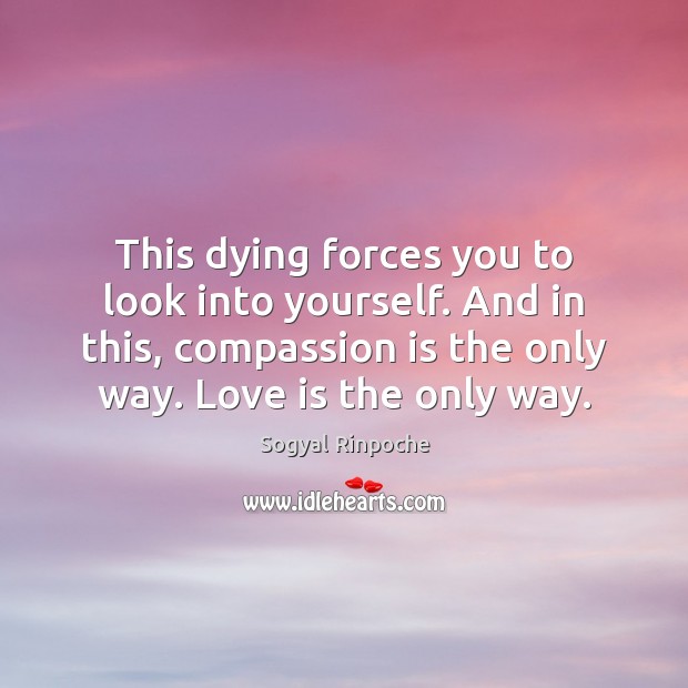 This dying forces you to look into yourself. And in this, compassion Image