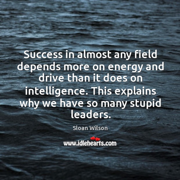This explains why we have so many stupid leaders. Sloan Wilson Picture Quote