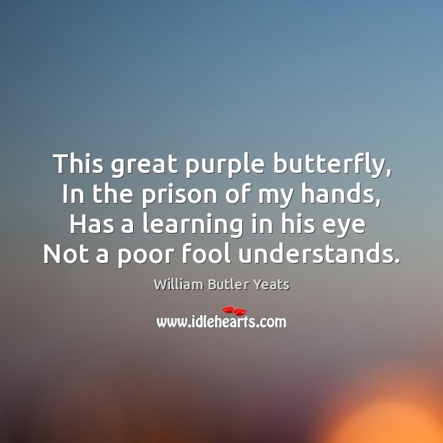 This great purple butterfly,  In the prison of my hands,  Has a William Butler Yeats Picture Quote