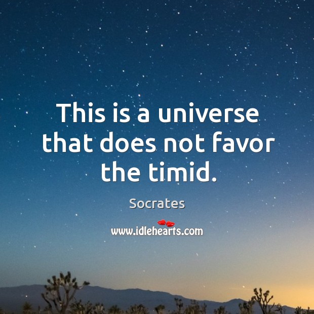 This is a universe that does not favor the timid. Socrates Picture Quote