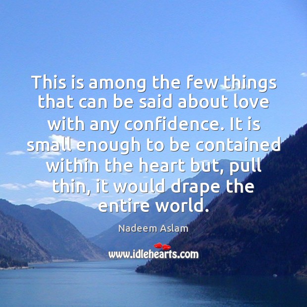 This is among the few things that can be said about love Nadeem Aslam Picture Quote