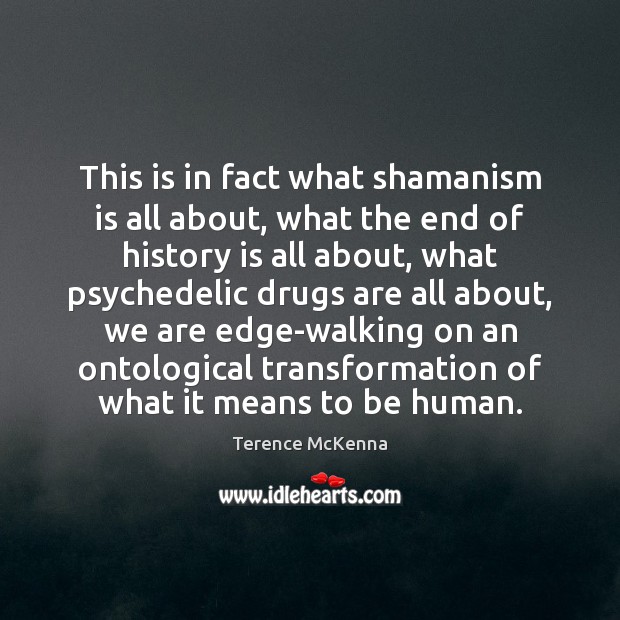 This is in fact what shamanism is all about, what the end Terence McKenna Picture Quote