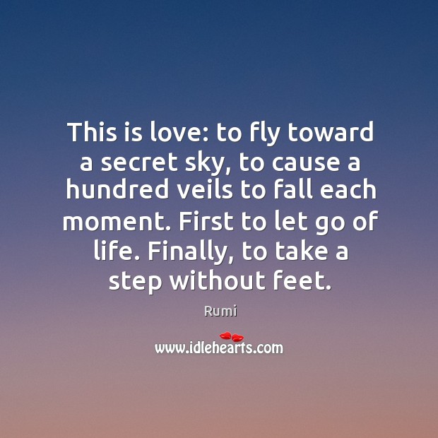 This is love: to fly toward a secret sky, to cause a hundred veils to fall each moment. First to let go of life. Image