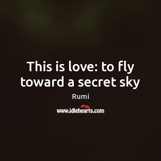This is love: to fly toward a secret sky Rumi Picture Quote
