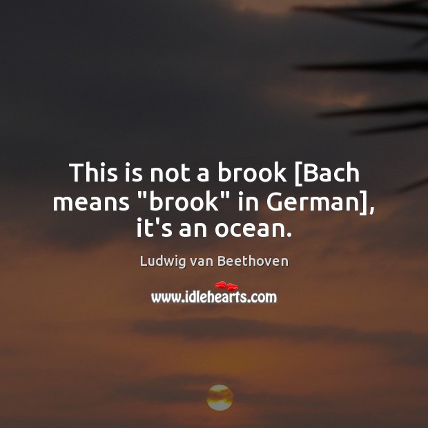 This is not a brook [Bach means “brook” in German], it’s an ocean. Ludwig van Beethoven Picture Quote