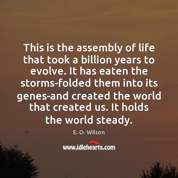 This is the assembly of life that took a billion years to E. O. Wilson Picture Quote