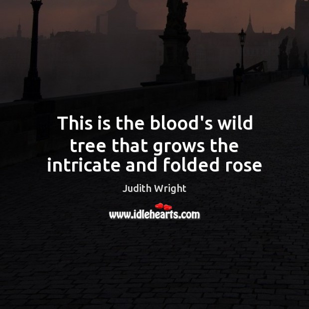 This is the blood’s wild tree that grows the intricate and folded rose Judith Wright Picture Quote