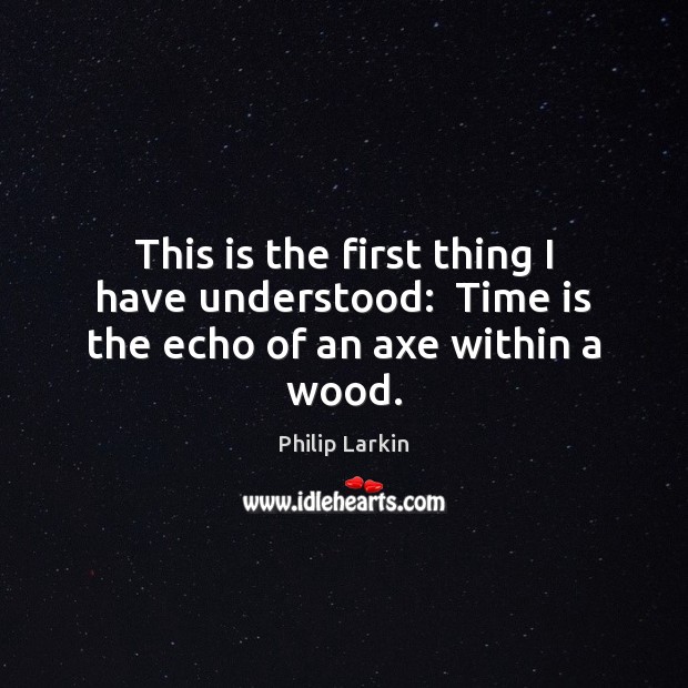 This is the first thing I have understood:  Time is the echo of an axe within a wood. Philip Larkin Picture Quote