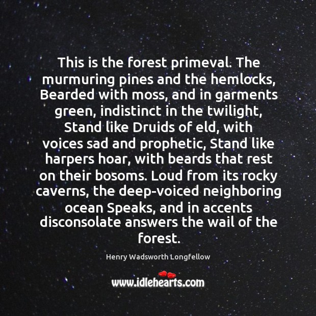 This is the forest primeval. The murmuring pines and the hemlocks, Bearded 