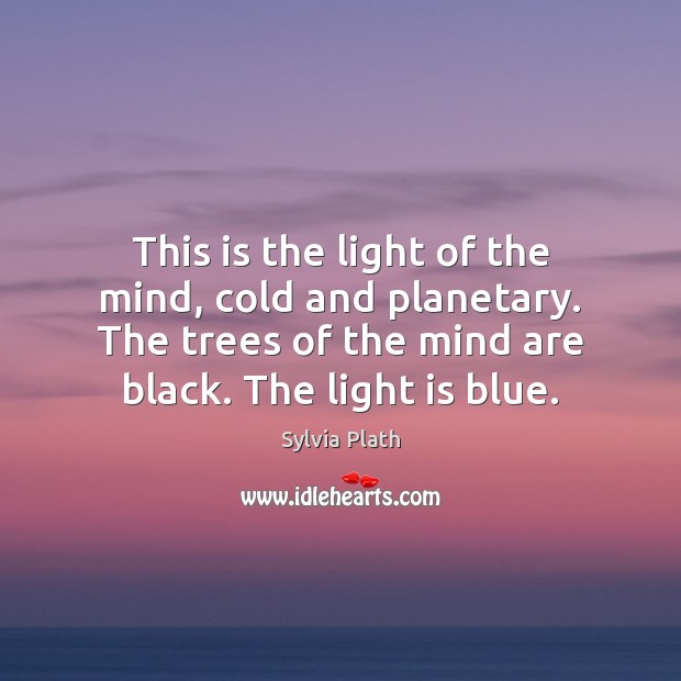 This is the light of the mind, cold and planetary. The trees Image