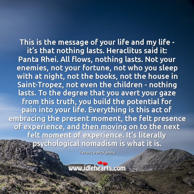 This is the message of your life and my life – it’ Terence McKenna Picture Quote