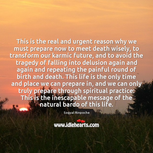 This is the real and urgent reason why we must prepare now Sogyal Rinpoche Picture Quote