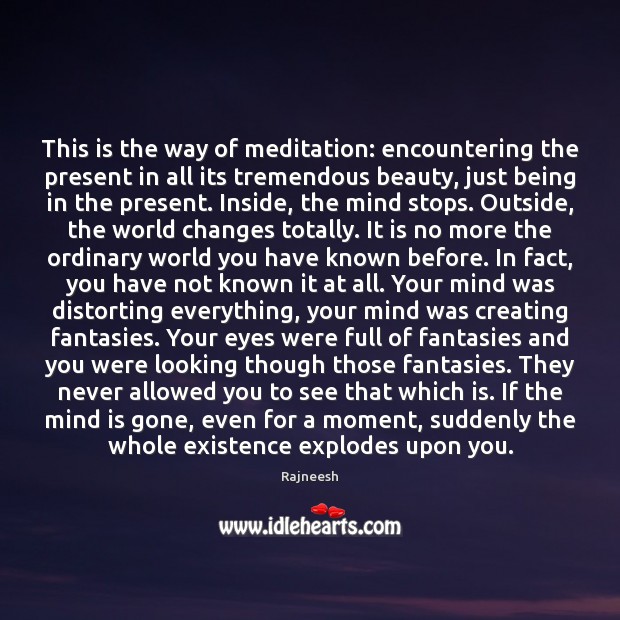 This is the way of meditation: encountering the present in all its Image