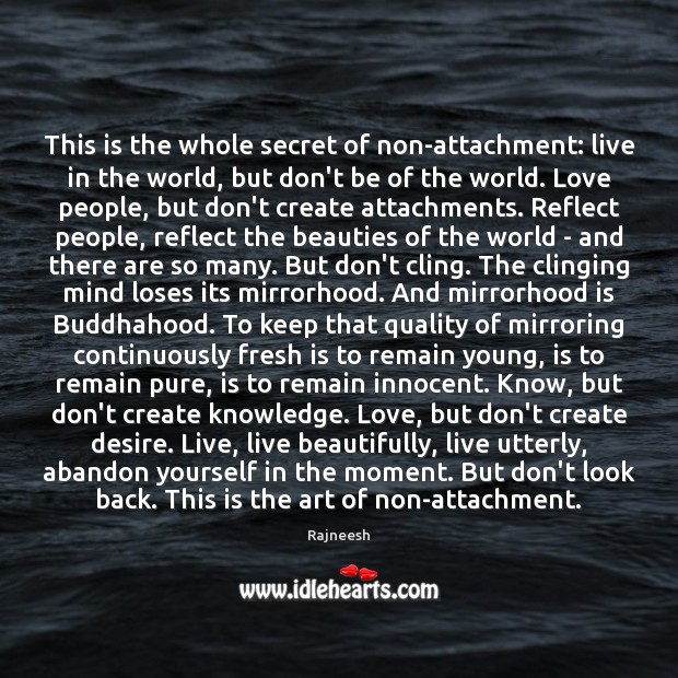 This is the whole secret of non-attachment: live in the world, but Image